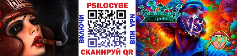 цена   Зея  Псилоцибиновые грибы мицелий 